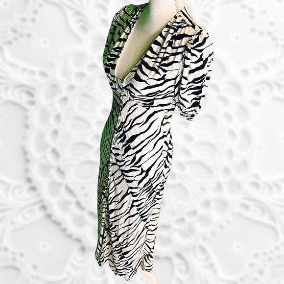 RIXO London ‘Tonya’ V-Neck Tiger Stripe Printed Button Up Flare Dress Size XXS - Picture 12 of 16